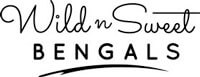 logo wild n sweet bengals